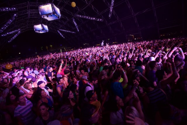 Coachella 2013: Electric Crowd