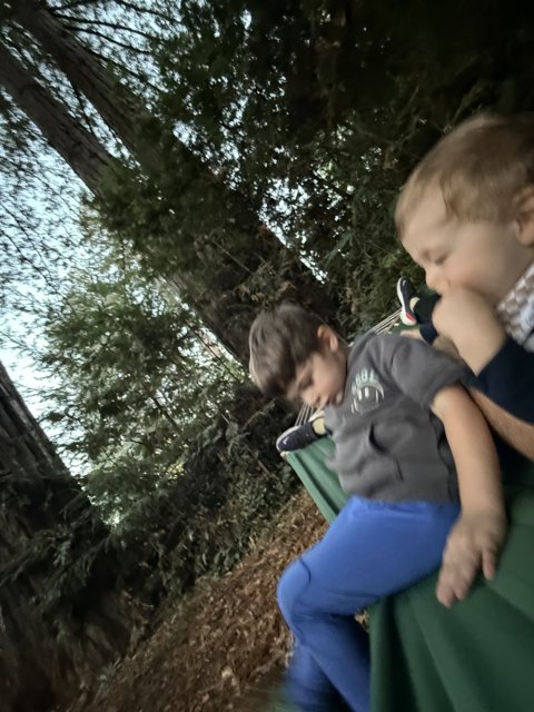 Woodland Whimsy