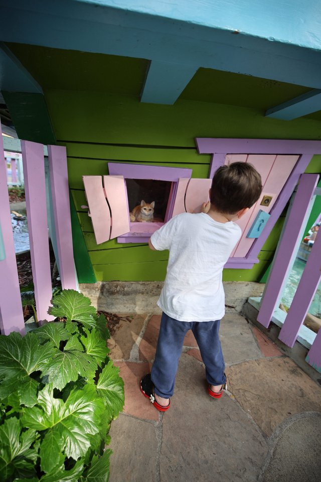 Child Discovering Cat in Whimsical Playhouse Window