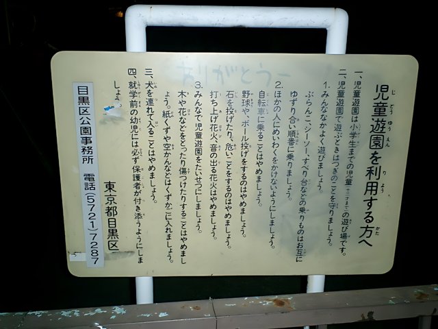 Japanese Signage Illuminating the Night