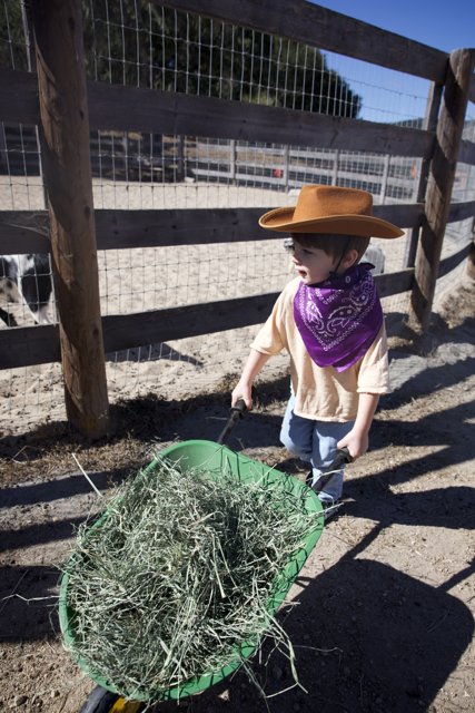 Little Ranch Hand in Action