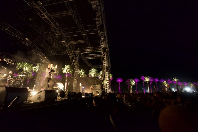 The Palm Tree Stage