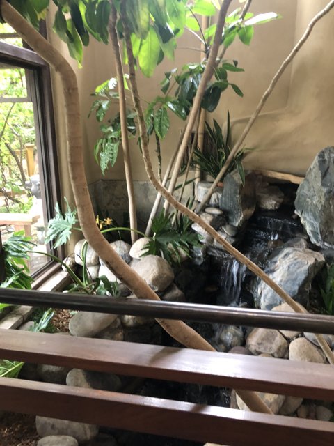 Indoor Waterfall Oasis