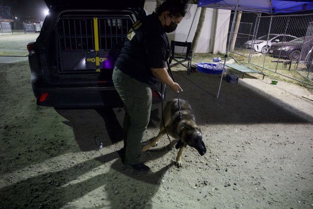 Night Shift: Man with His Police Dog at Coachella 2024