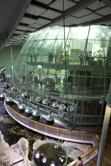 Inside the Glass Sphere