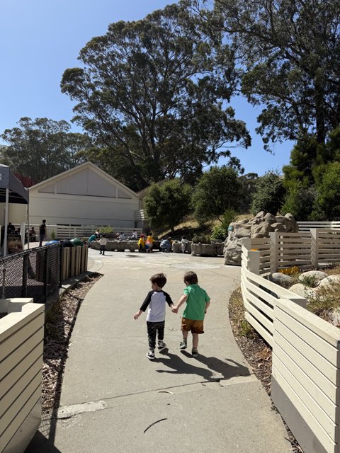 Summer Stroll in Sausalito