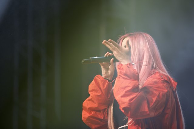 Pink-haired Performer Takes the Stage