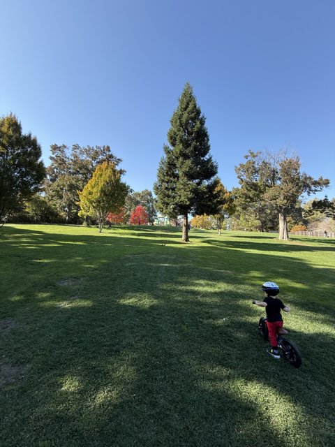 Autumn Adventure at Larkey Park