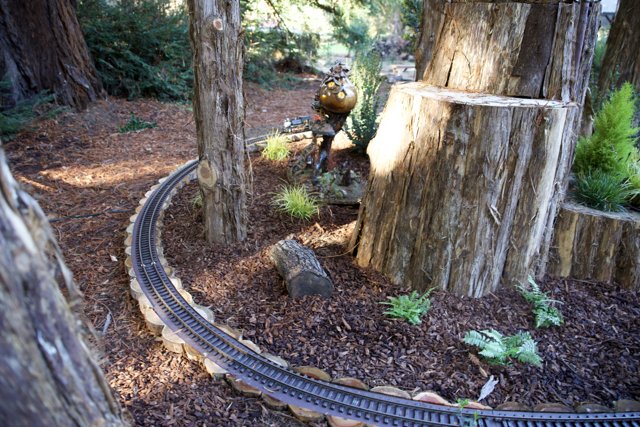 Miniature Wonders in Woodland