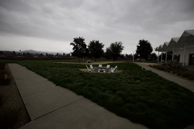 Tranquil Overcast Evening at Wine Country Estate