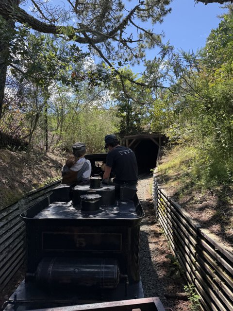 Nature’s Train Adventure
