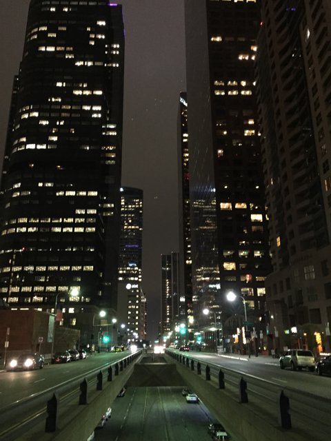 A Bustling Metropolis at Night