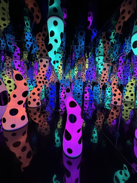 Polka Dot Extravaganza: Kusama's Realm at SF MoMA