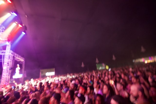 Electrifying Crowd at Coachella Concert