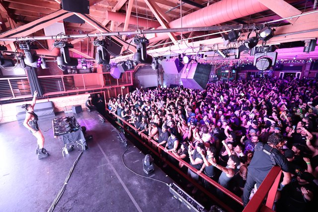 DJ Ignites Packed Crowd at Wobbleland 2026