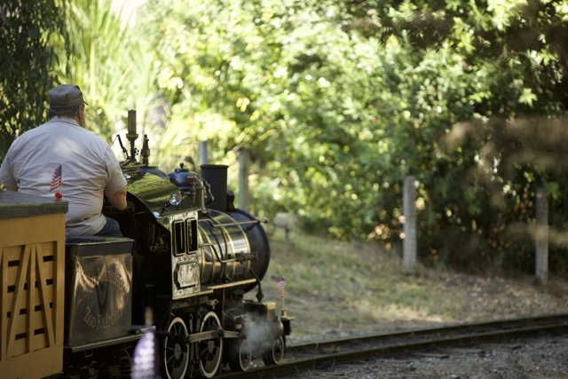 Locomotive Adventure in the Forest