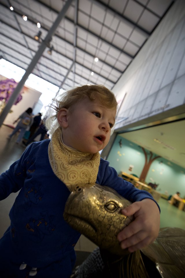 Child with Golden Turtle Sculpture at Museum