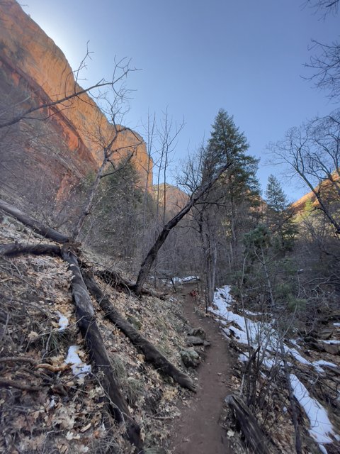 Tranquil Trail through the Sedona Mountains