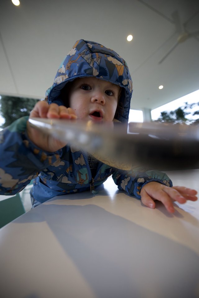 Curious Toddler Reaching Across Restaurant Table