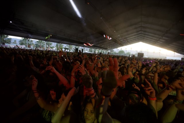 Coachella 2012 Crowd Goes Wild