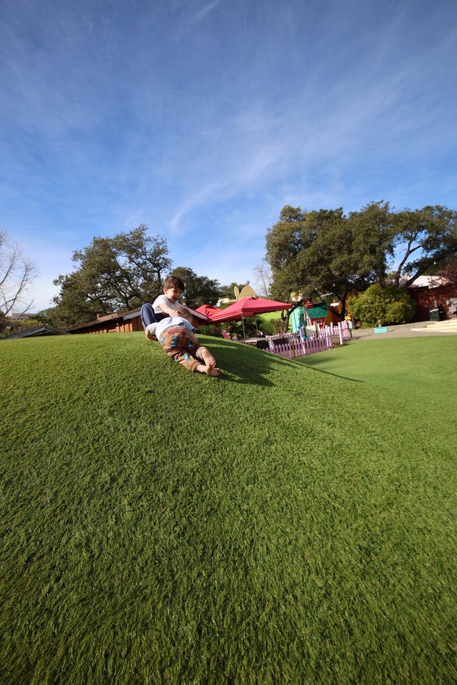 Child Sliding Down Grassy Hill at Colorful Play Area