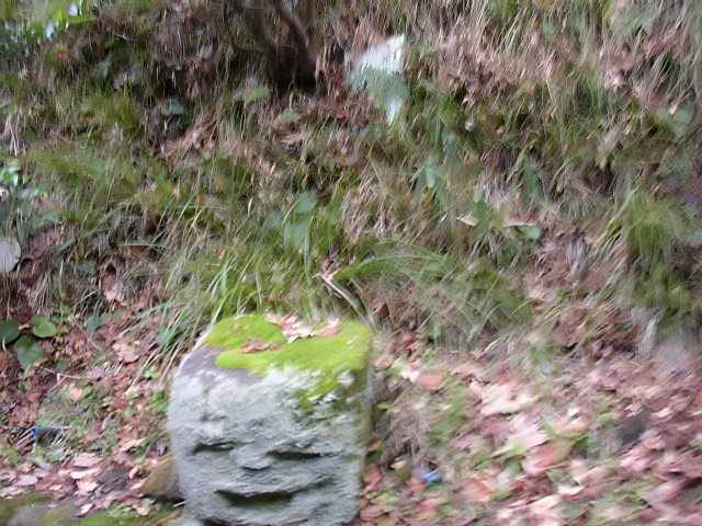 Stone Head in the Woods