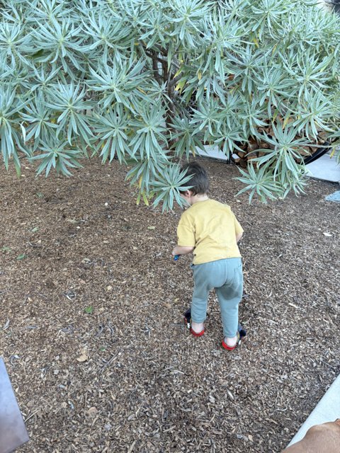 Exploring Nature's Playground