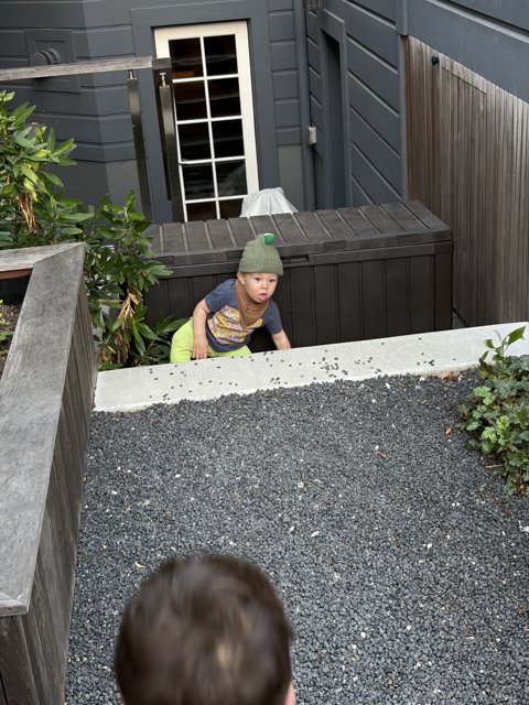 Backyard Explorers