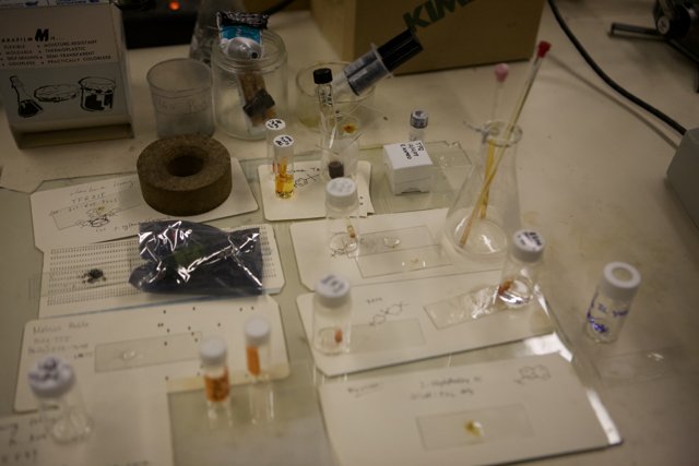 A Look Inside the UCLA Nanotech Lab