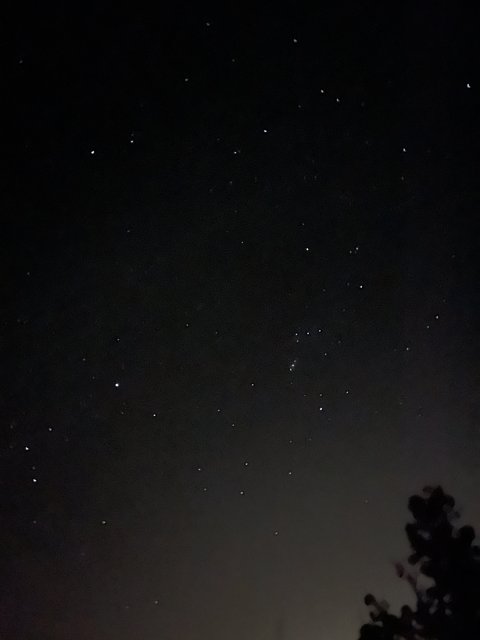 Starry night in Sandia Park