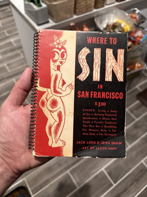 Sinful San Francisco Guidebook