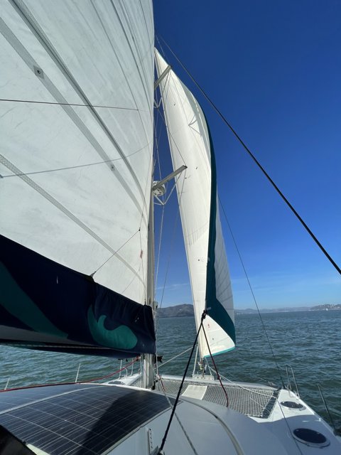 Sailing the San Francisco Bay