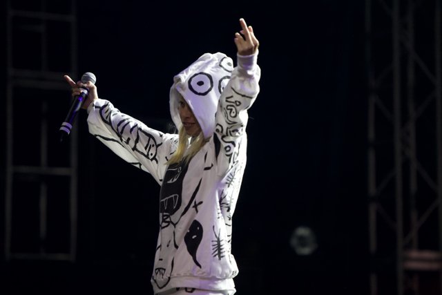 Solo Performance (Caption: A female entertainer raises her hands in the air during her solo performance at Coachella 2010.)