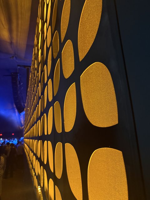Illuminated Patterns