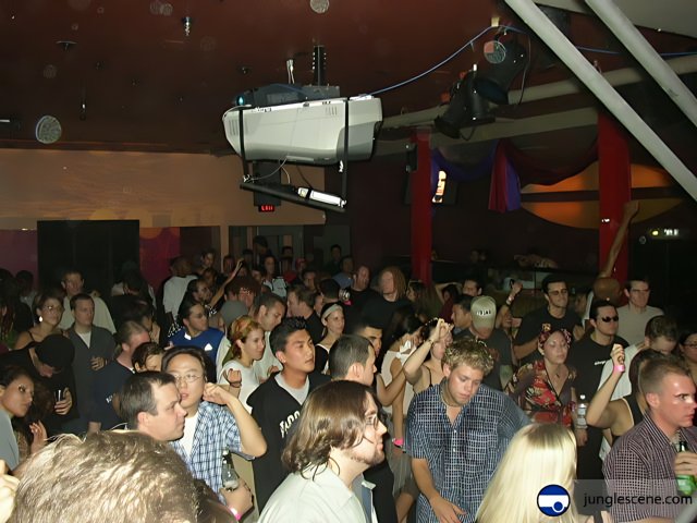 The Nightclub Crowd