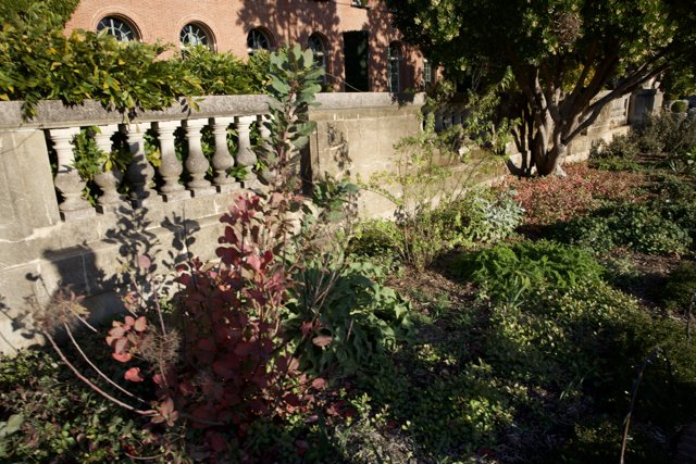 Serenity in Thistlewyck: A Garden's Embrace