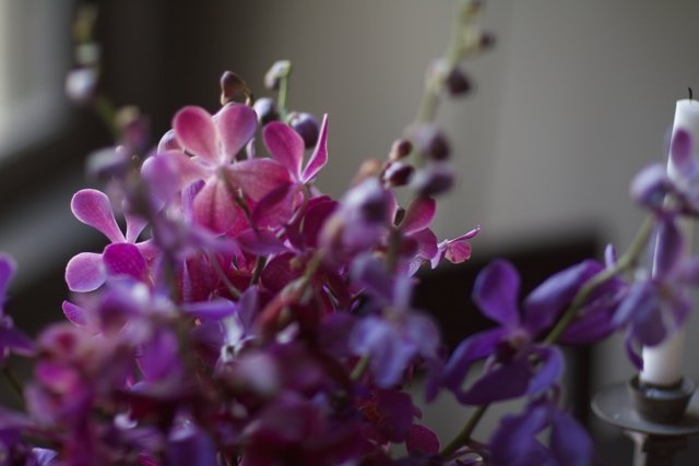 Purple Flower Bouquet in a Vase