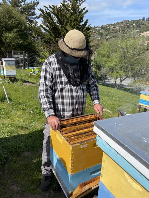 A Beekeeper in Action