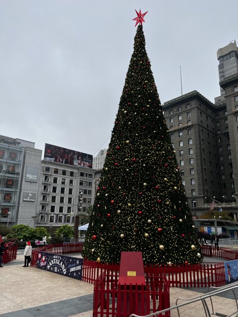Christmas Celebrations in Union Square