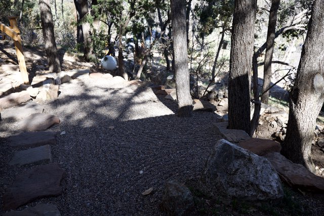 Secluded Forest Gravel Camping Pad Among Pines
