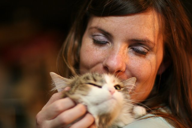Tender Moment: Woman Nuzzles Fluffy Kitten Lovingly