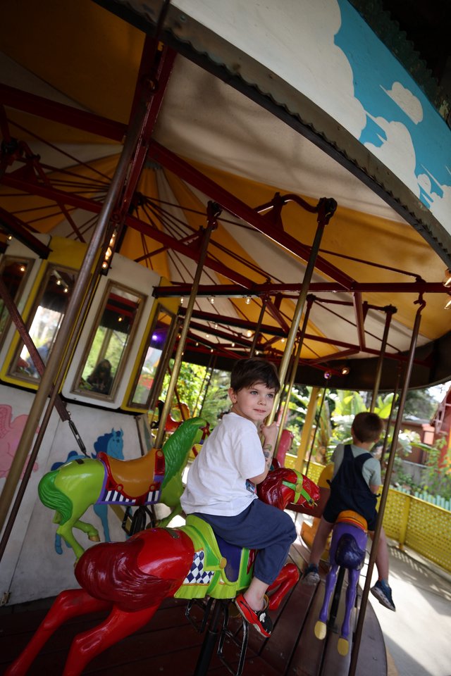 Boy Enjoying Colorful Carousel Ride at Fantasyland