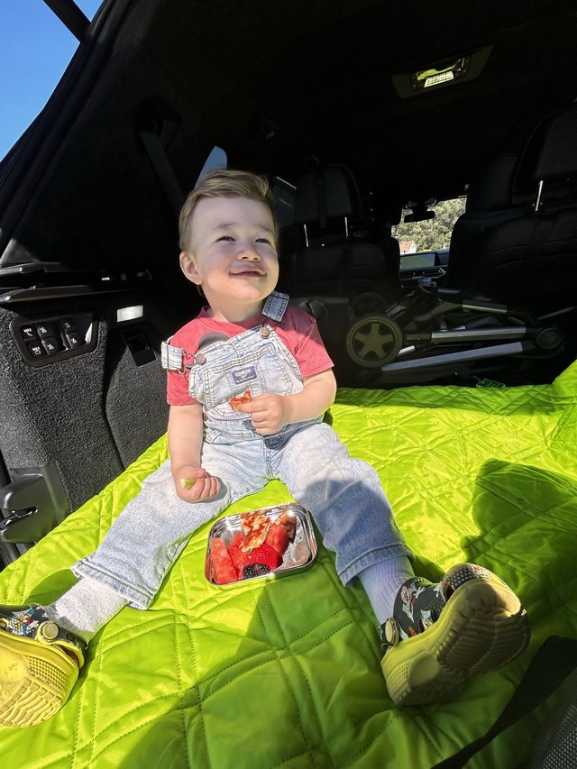 Young Boy Enjoying Picnic in SUV Trunk