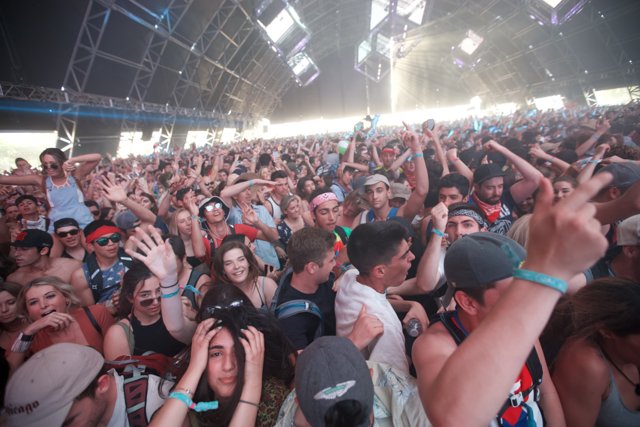 Coachella 2016 Crowd Madness