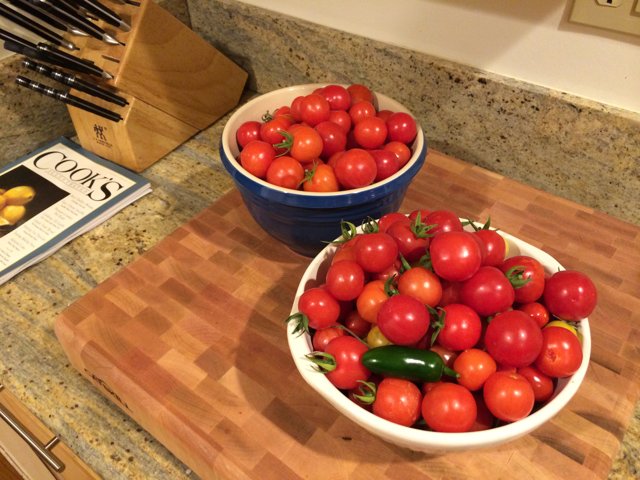 Freshly Picked Tomatoes from Altadena