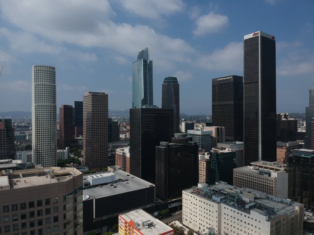 View from the Top: Los Angeles Metropolis