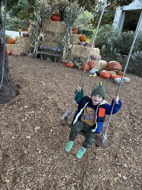 Autumn Adventures in Carmel