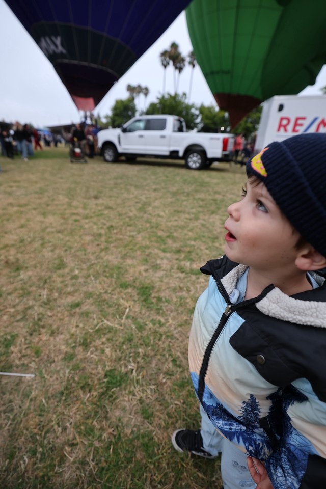 Wide-Eyed Wonder at the Hot Air Balloon Festival