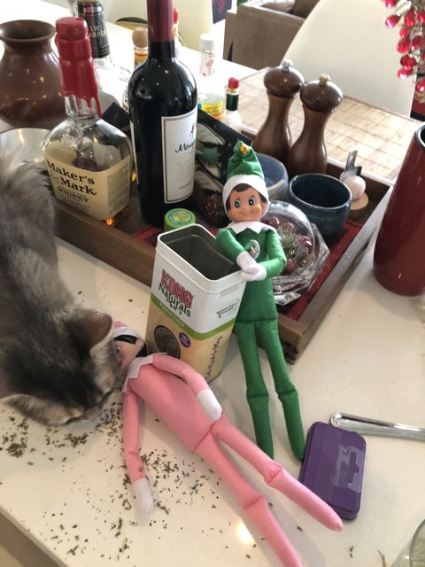 A Cat and an Elf Enjoying the Festivities