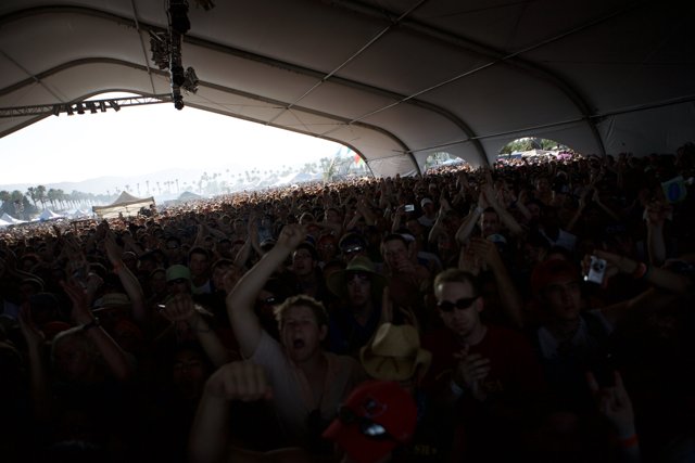 Coachella Crowd Going Wild